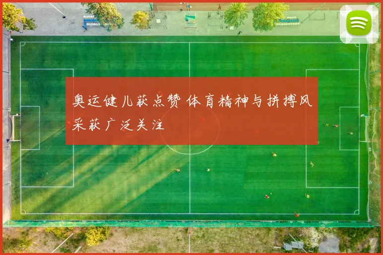奥运健儿获点赞 体育精神与拼搏风采获广泛关注