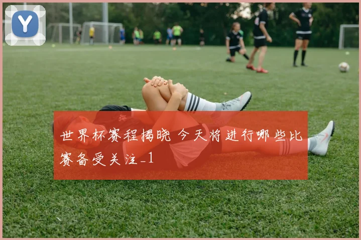 世界杯赛程揭晓 今天将进行哪些比赛备受关注_1