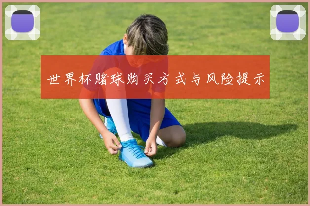 世界杯赌球购买方式与风险提示