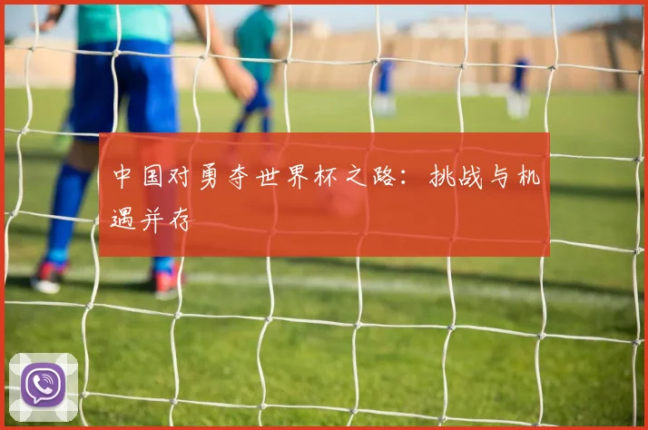 中国对勇夺世界杯之路：挑战与机遇并存