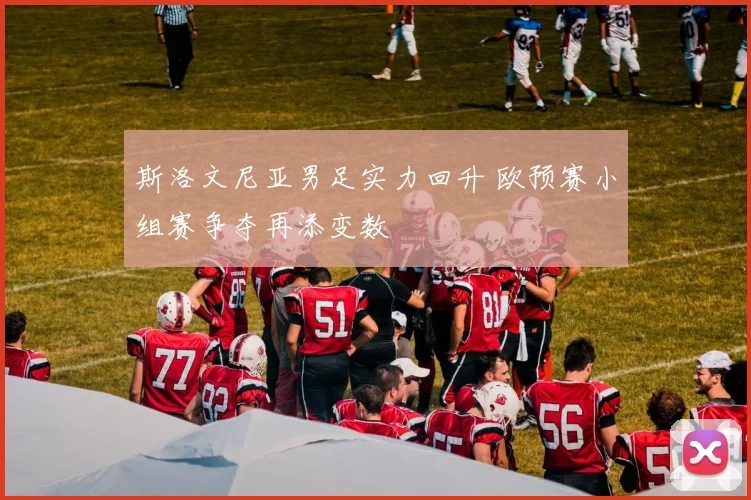 斯洛文尼亚男足实力回升 欧预赛小组赛争夺再添变数