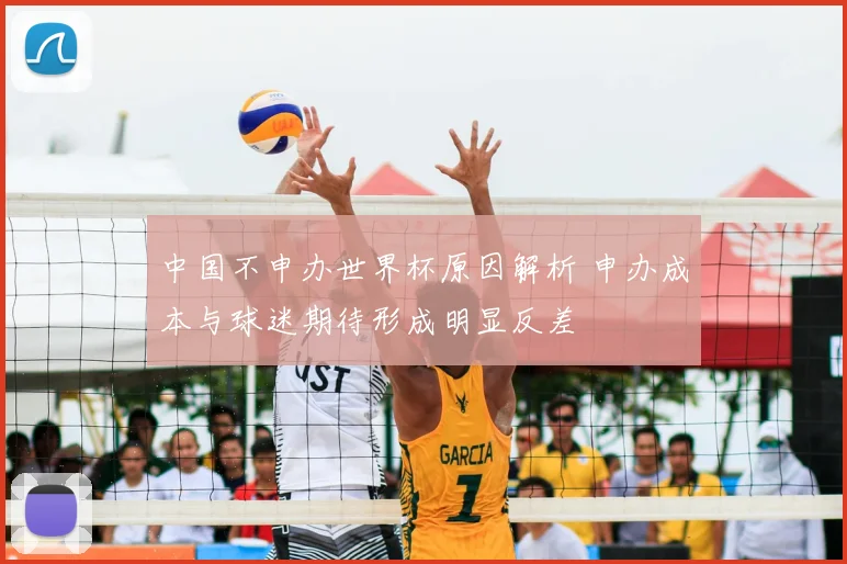 中国不申办世界杯原因解析 申办成本与球迷期待形成明显反差