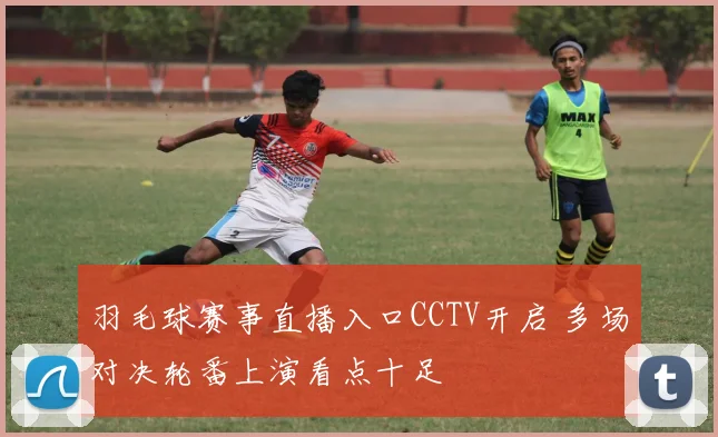 羽毛球赛事直播入口CCTV开启 多场对决轮番上演看点十足